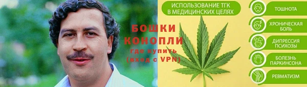 сатива Богородицк