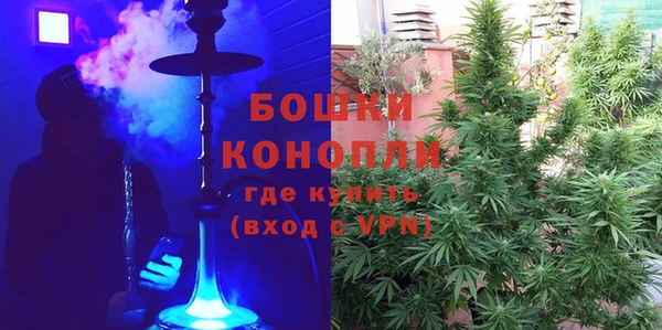 сатива Богородицк