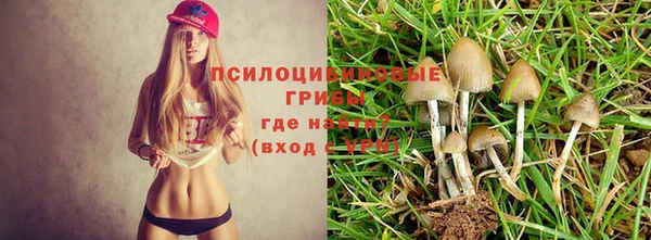 марихуана Богородск