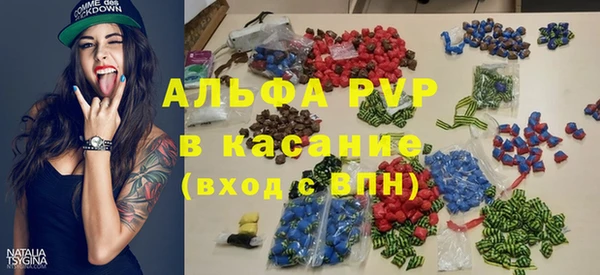 сатива Богородицк