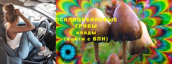 крисы Богданович