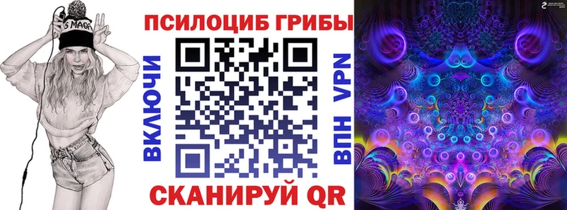 где можно купить наркотик Малая Вишера Галлюциногенные грибы мухоморы